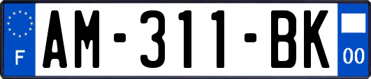 AM-311-BK
