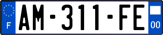 AM-311-FE