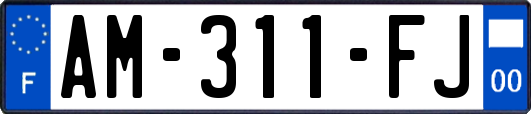 AM-311-FJ