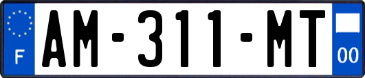 AM-311-MT