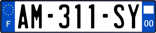 AM-311-SY