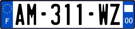 AM-311-WZ