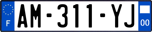 AM-311-YJ