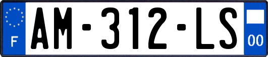 AM-312-LS