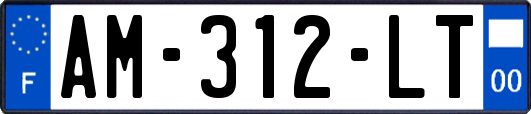 AM-312-LT