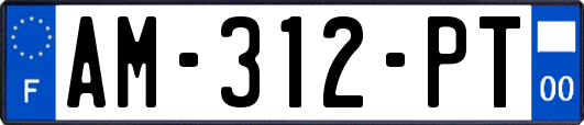 AM-312-PT