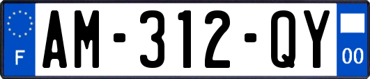 AM-312-QY