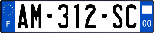 AM-312-SC