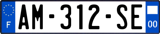 AM-312-SE