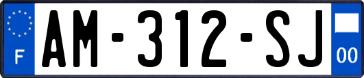 AM-312-SJ