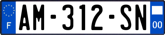 AM-312-SN