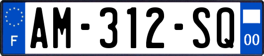 AM-312-SQ