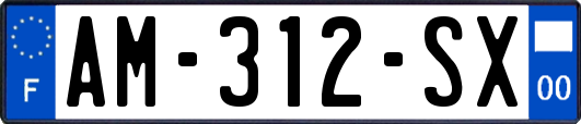 AM-312-SX