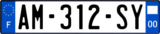 AM-312-SY
