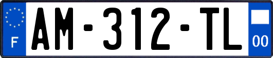 AM-312-TL