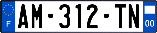 AM-312-TN