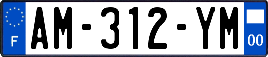 AM-312-YM