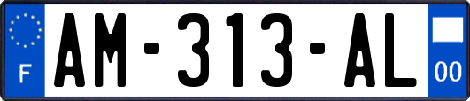 AM-313-AL