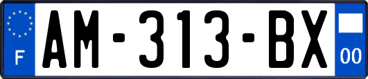 AM-313-BX