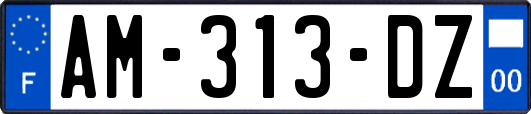 AM-313-DZ