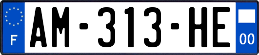 AM-313-HE