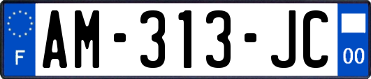 AM-313-JC