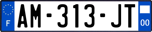 AM-313-JT
