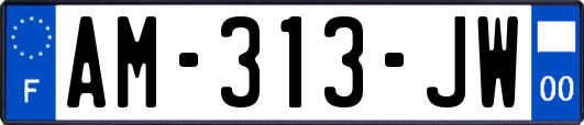 AM-313-JW