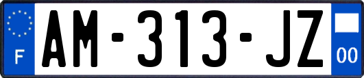 AM-313-JZ