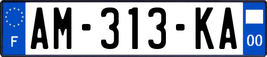 AM-313-KA