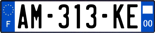AM-313-KE