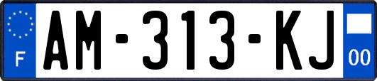 AM-313-KJ