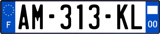 AM-313-KL