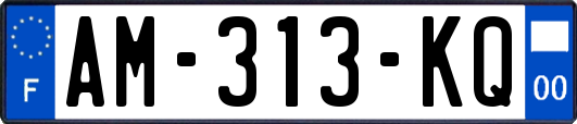 AM-313-KQ
