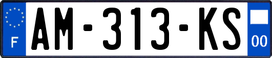 AM-313-KS