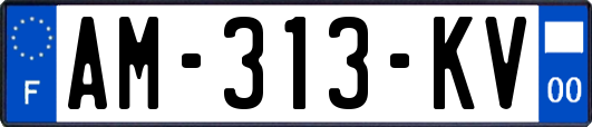 AM-313-KV