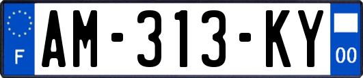 AM-313-KY