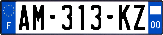 AM-313-KZ