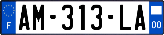 AM-313-LA
