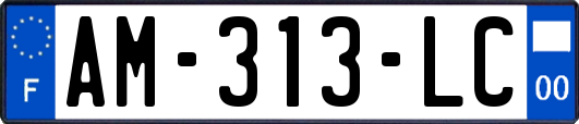 AM-313-LC