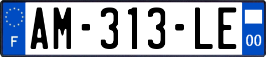 AM-313-LE
