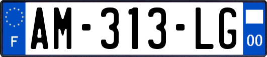 AM-313-LG