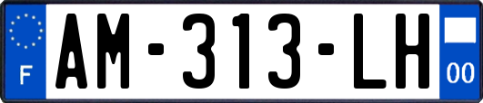 AM-313-LH