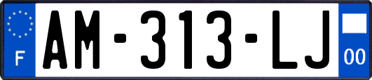 AM-313-LJ