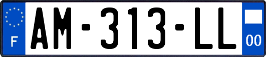 AM-313-LL