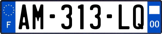 AM-313-LQ