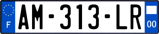 AM-313-LR
