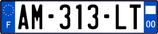 AM-313-LT