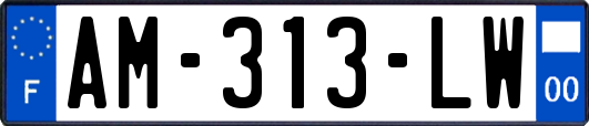 AM-313-LW