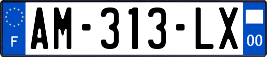 AM-313-LX